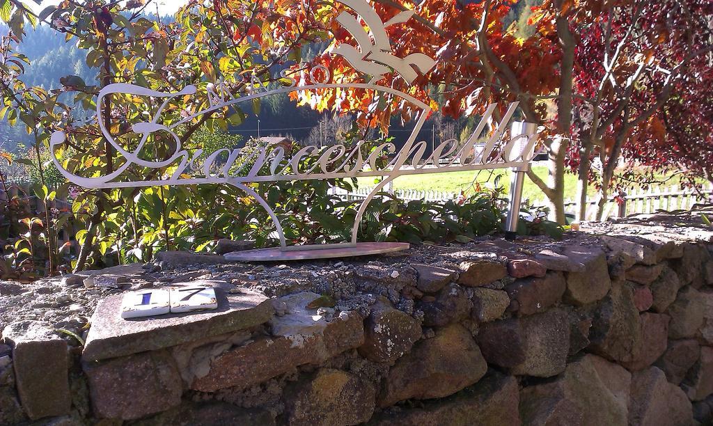 Maso Franceschella Bed & Breakfast Carano  Exterior foto