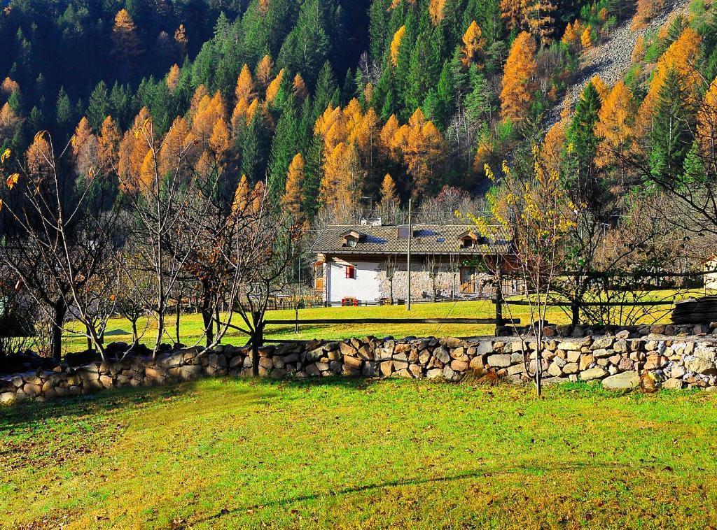 Maso Franceschella Bed & Breakfast Carano  Exterior foto